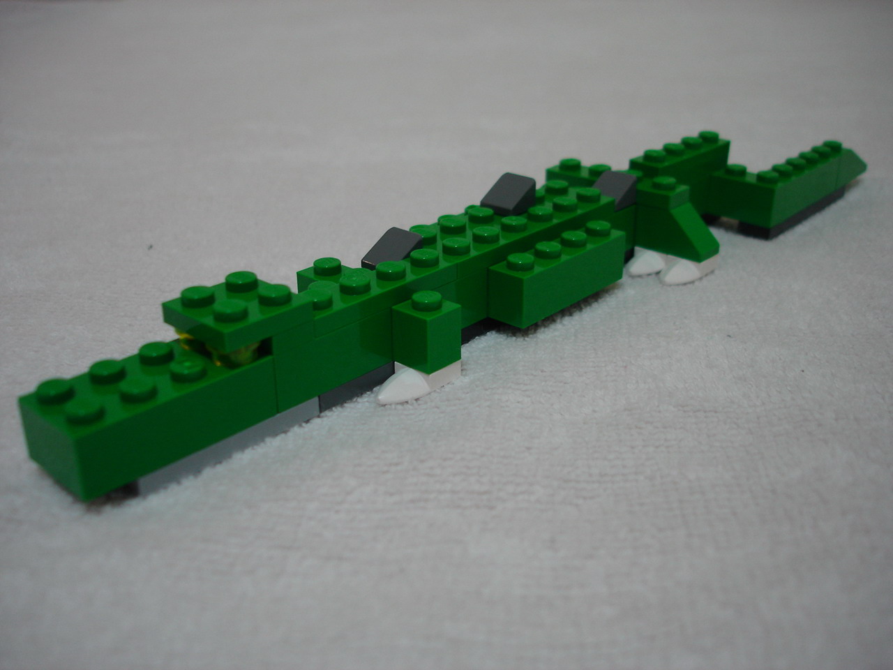 4884-128.jpg
