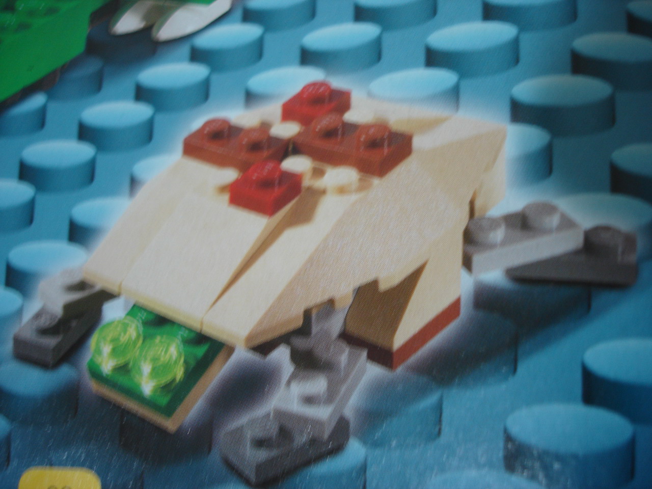 4884-133.jpg