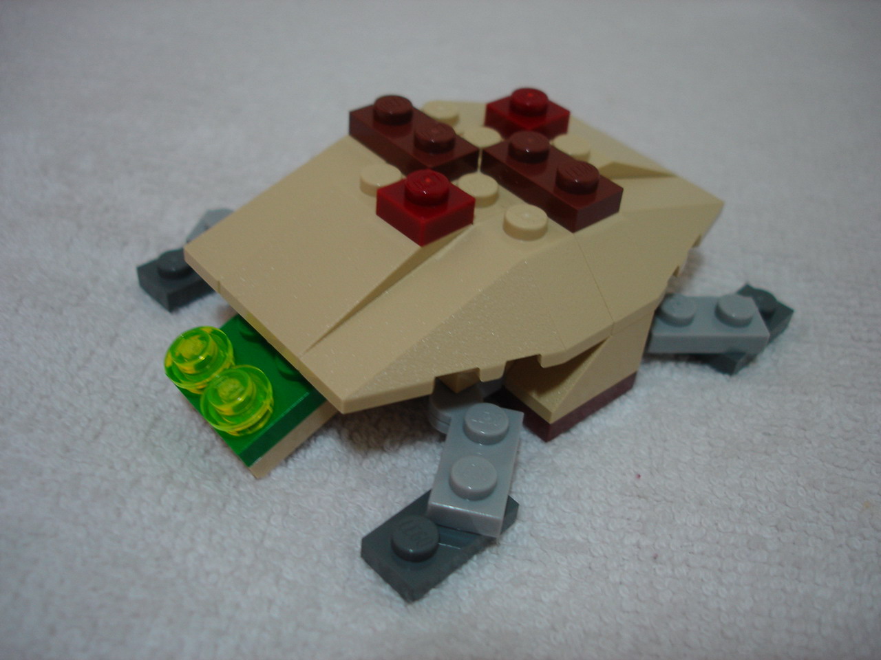 4884-134.jpg
