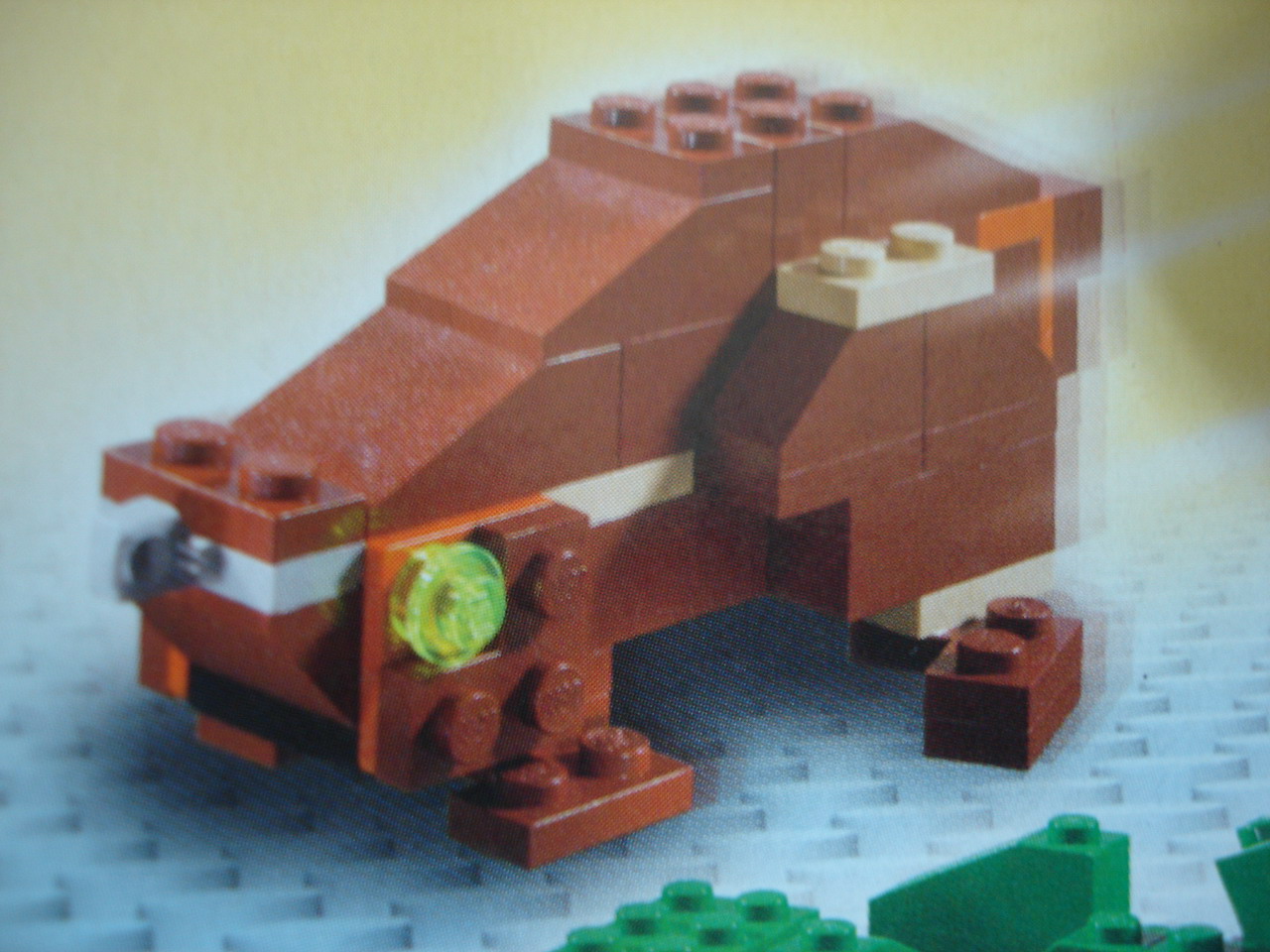 4884-135.jpg