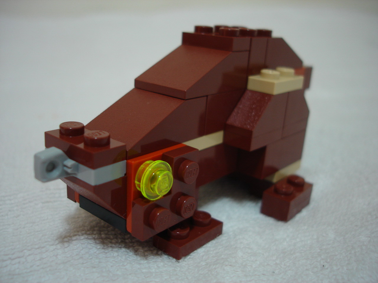 4884-136.jpg