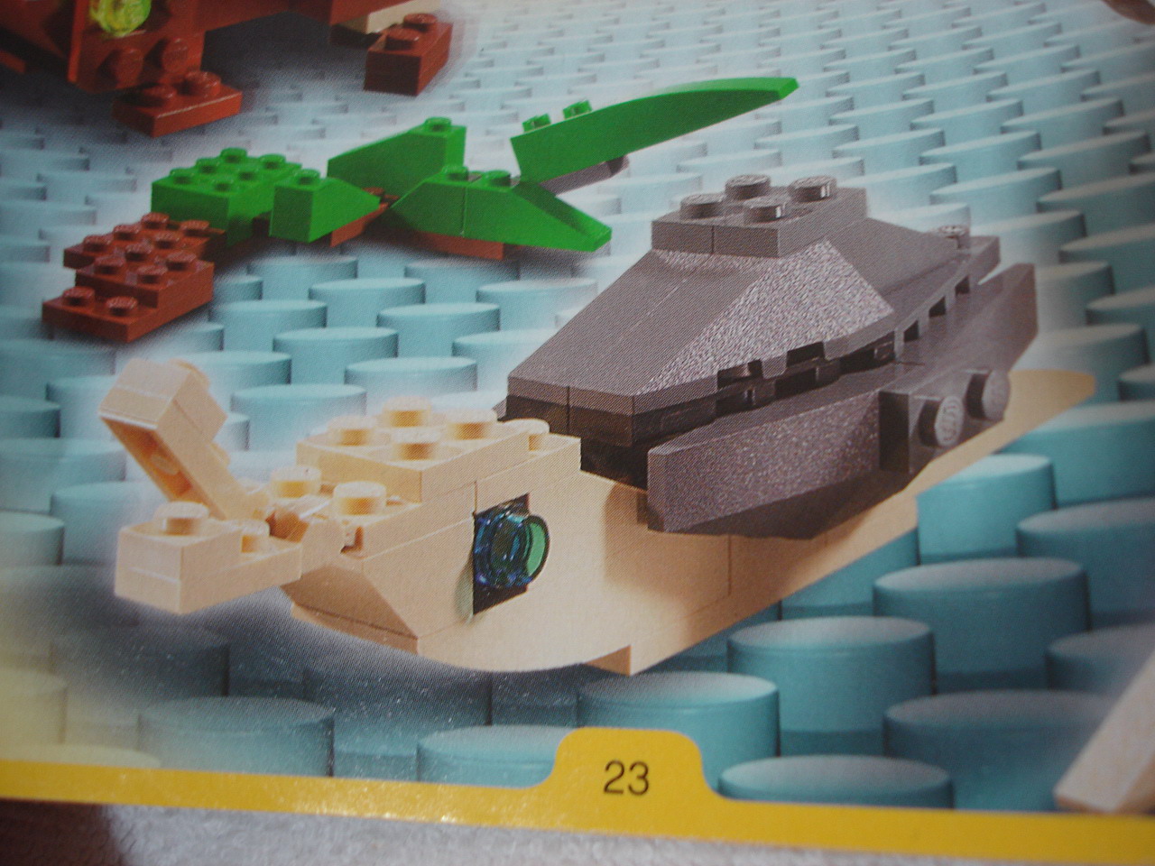 4884-137.jpg