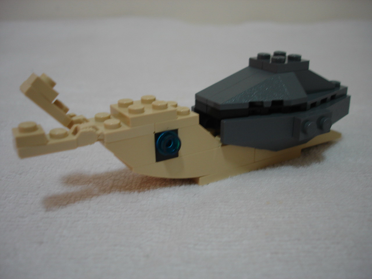 4884-138.jpg
