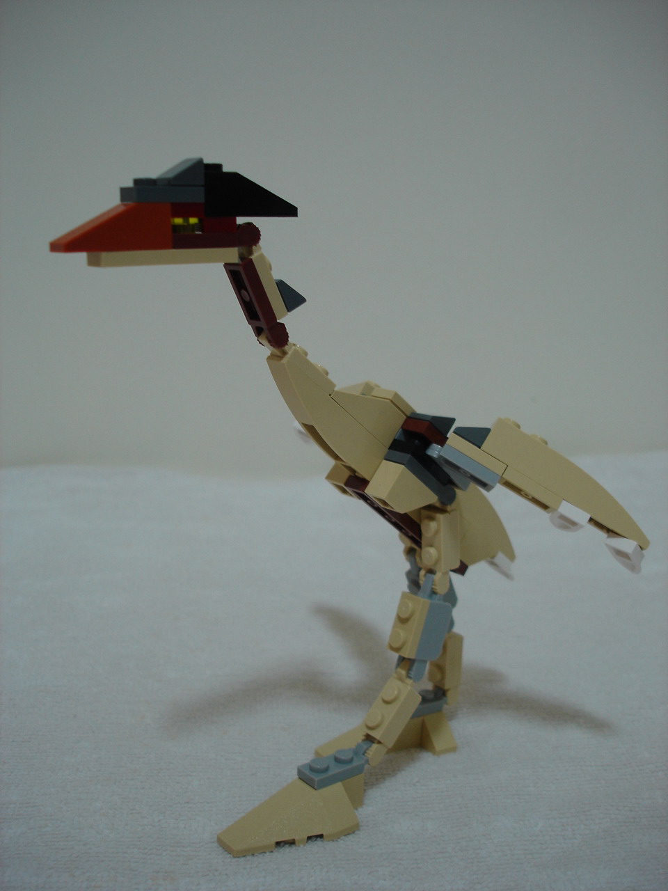4884-140.jpg