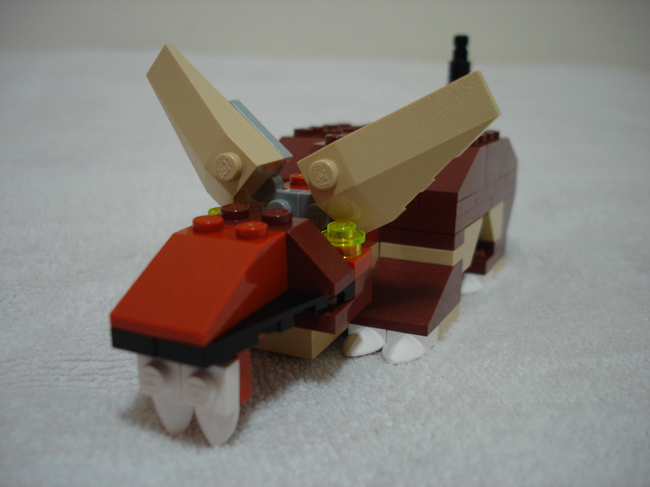 4884-144.jpg