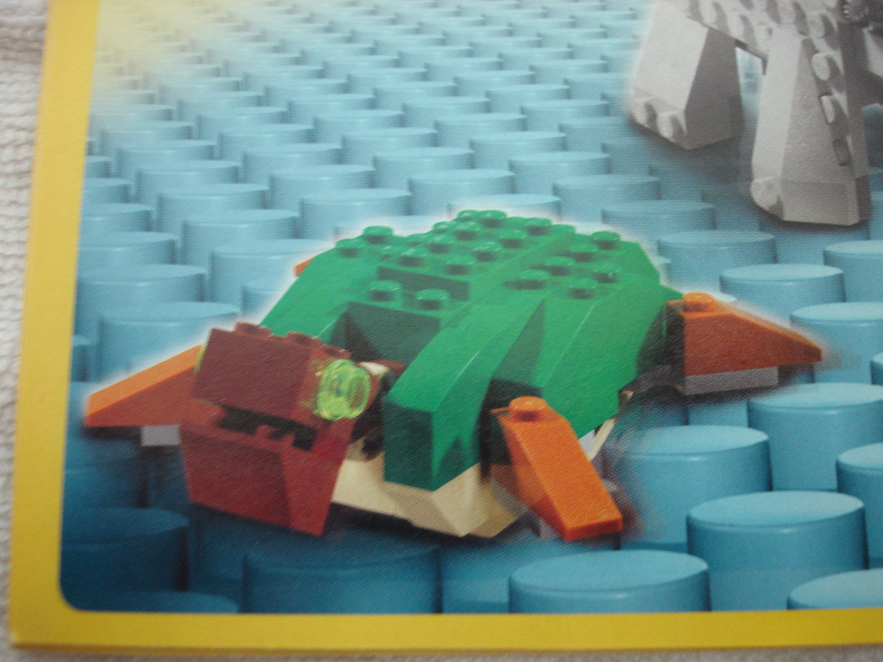 4884-145.jpg
