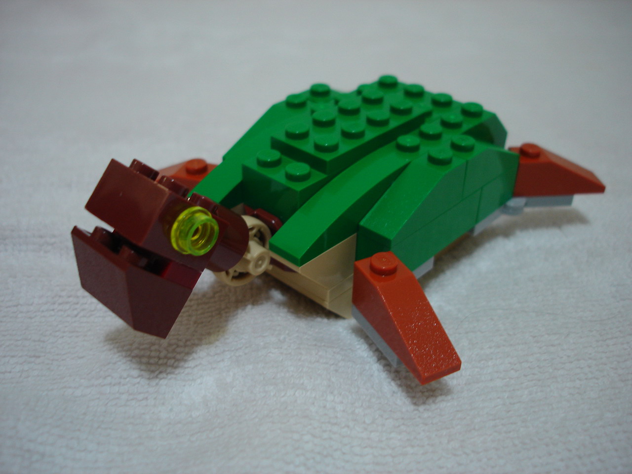 4884-146.jpg