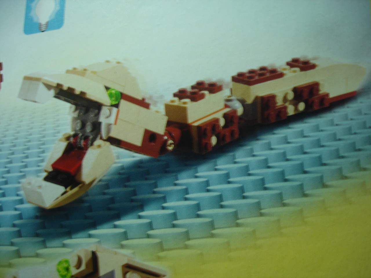 4884-147.jpg