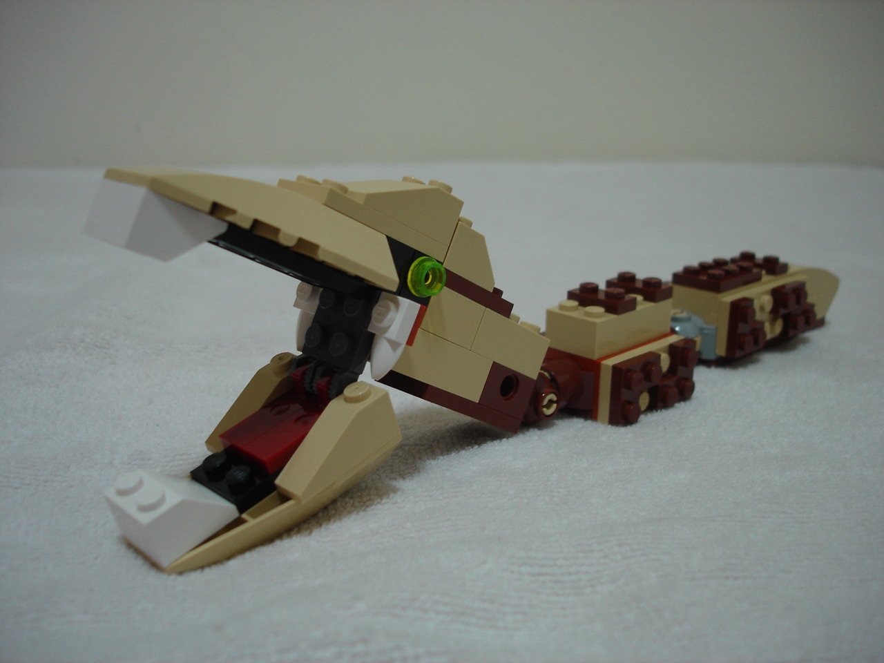 4884-148.jpg