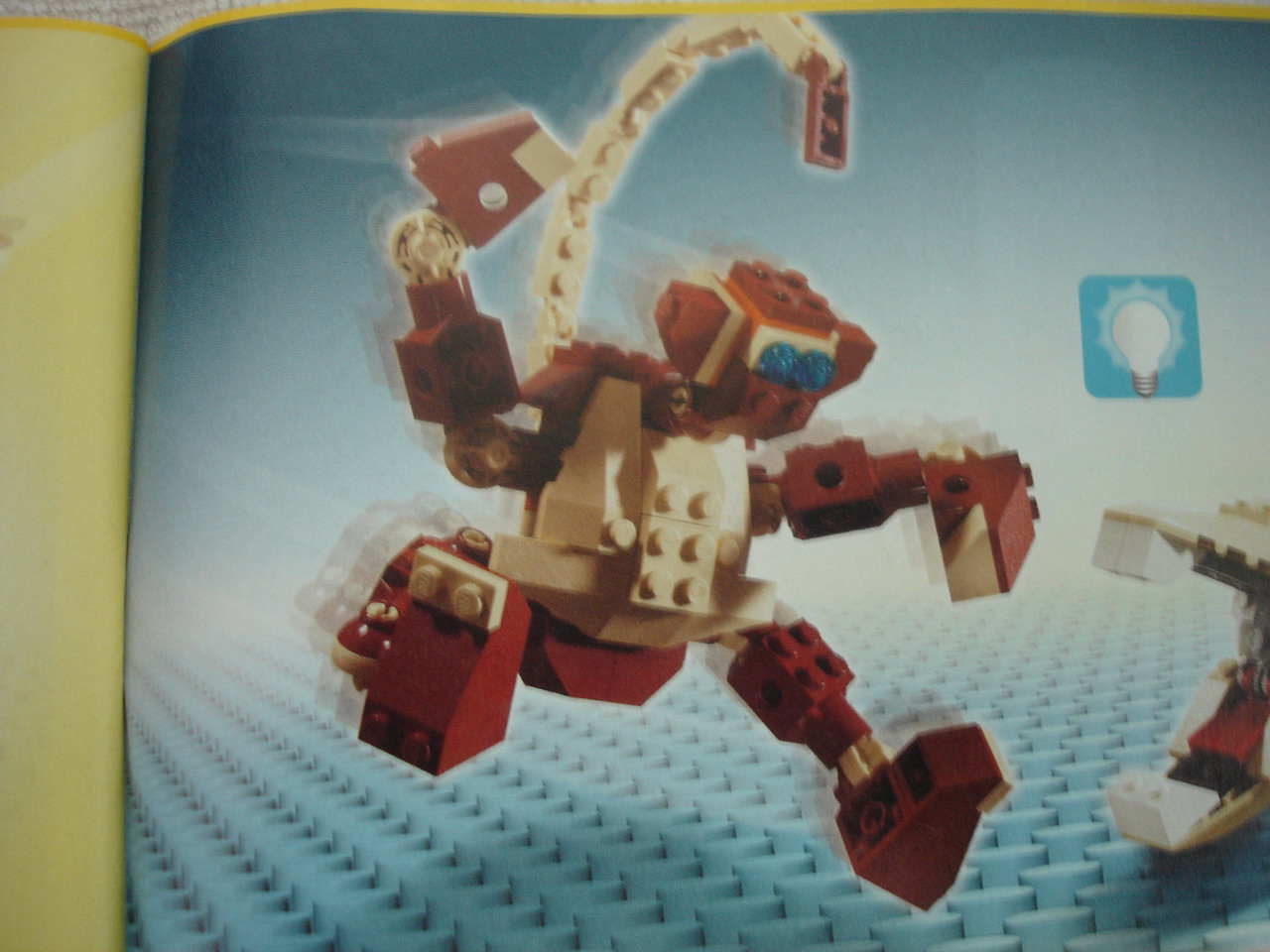 4884-149.jpg