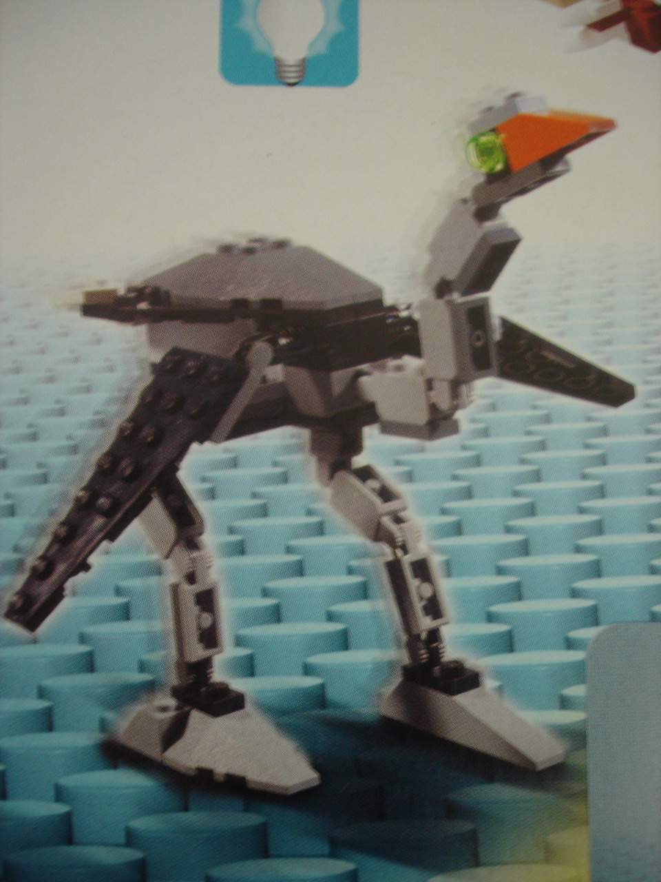 4884-151.jpg