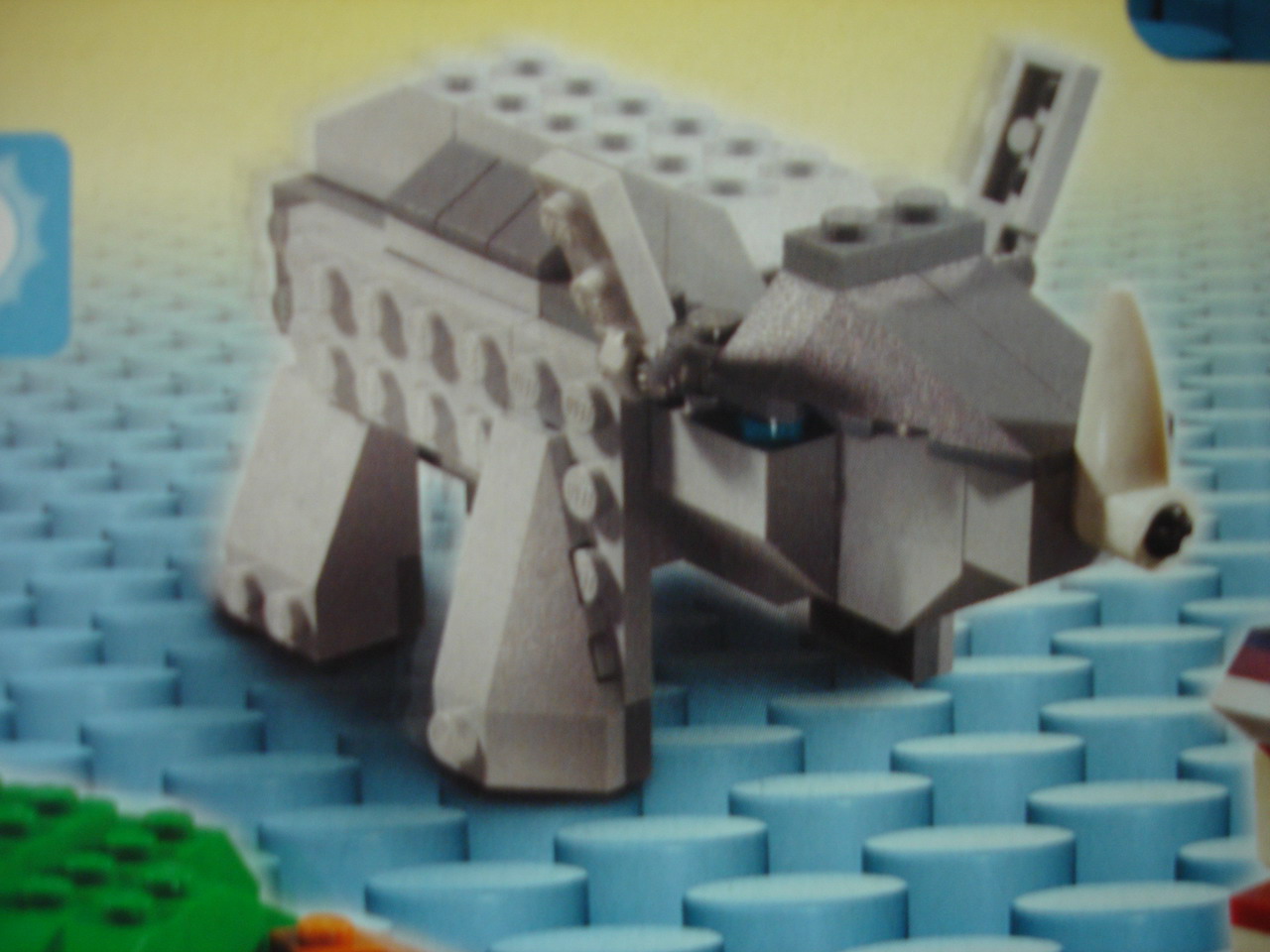 4884-153.jpg