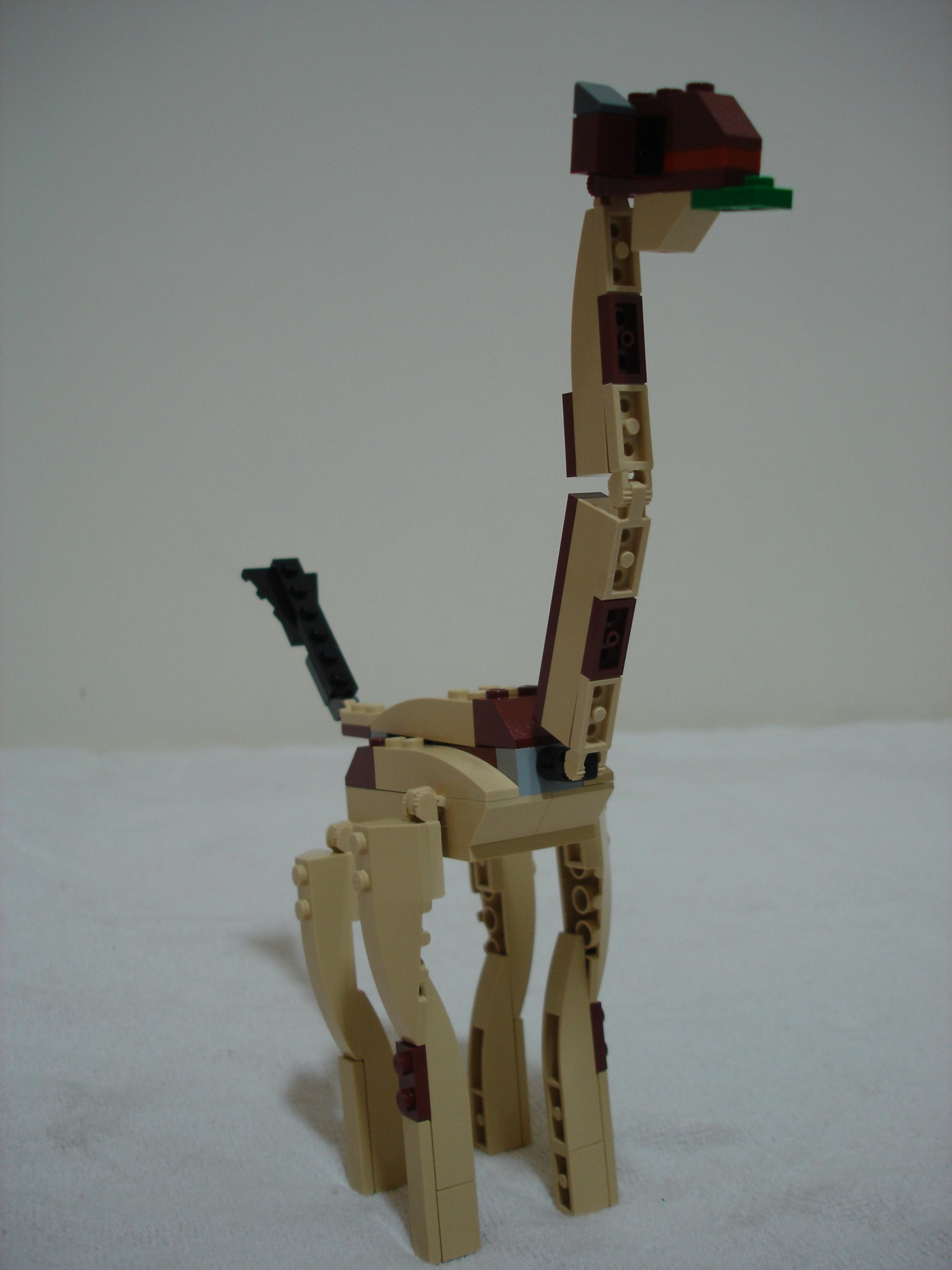 4884-156.jpg