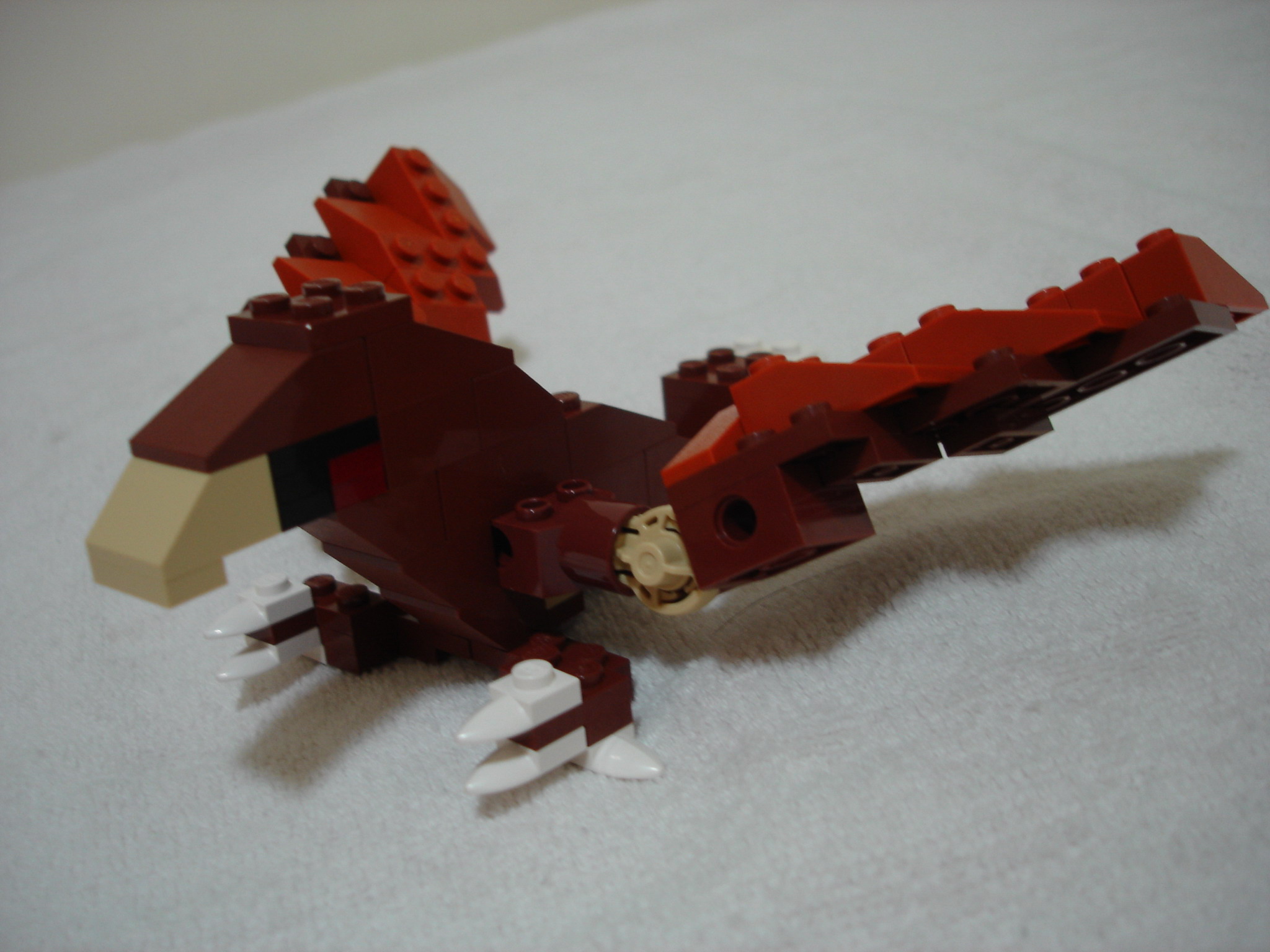 4884-158.jpg