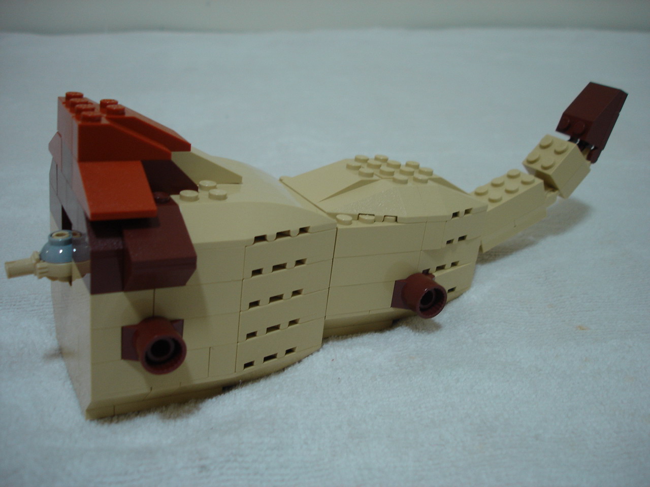 4884-179.jpg