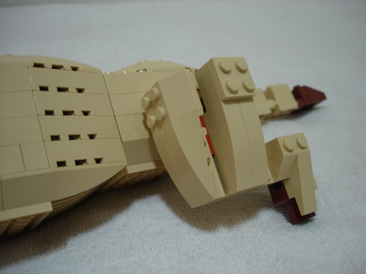 4884-196.jpg