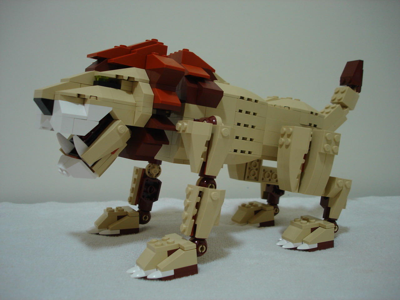 4884-200.jpg