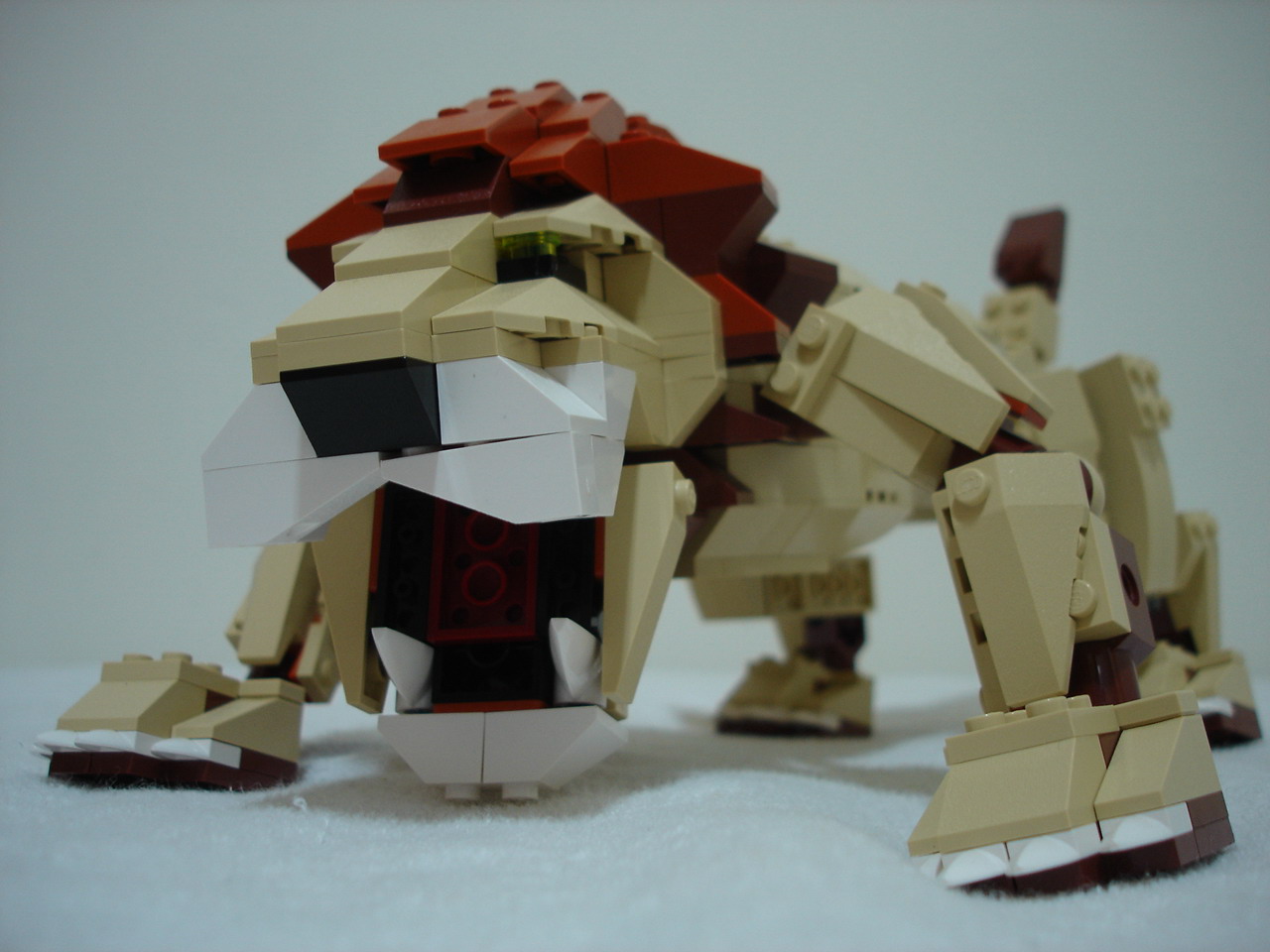 4884-203.jpg