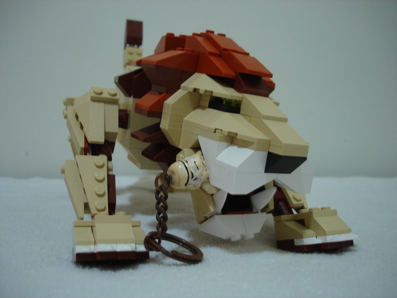 4884-204.jpg