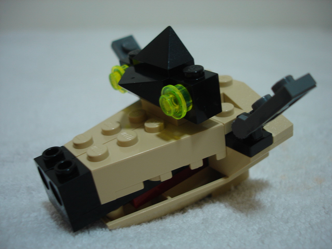 4884-218.jpg