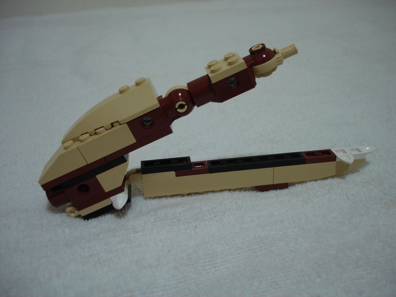 4884-226.jpg