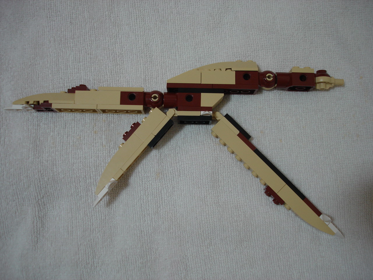 4884-230.jpg
