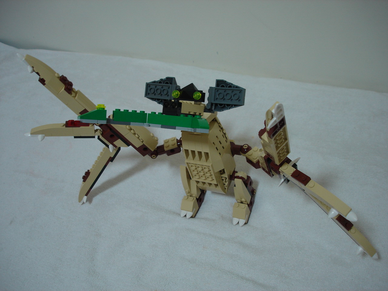 4884-232.jpg