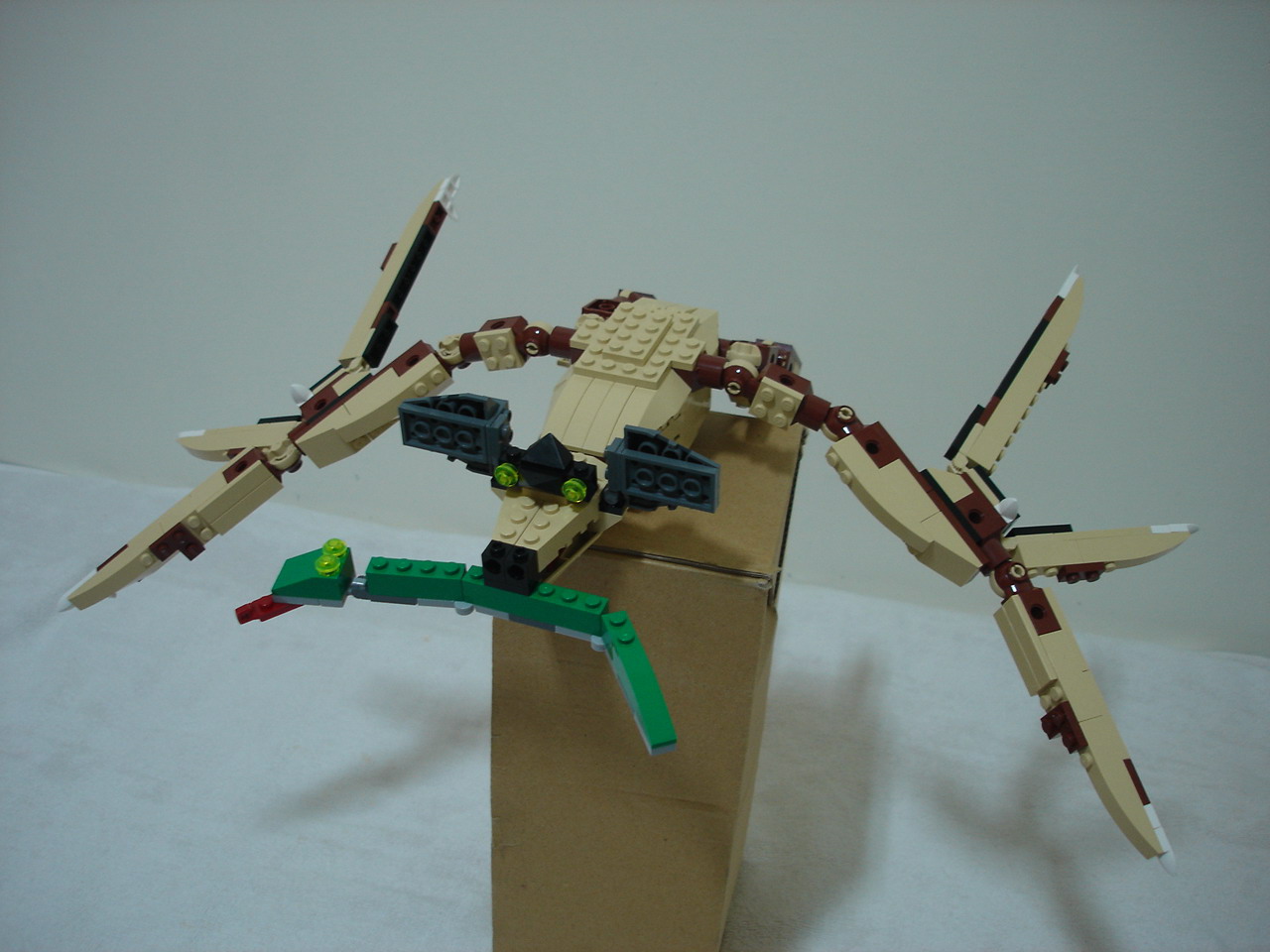 4884-235.jpg