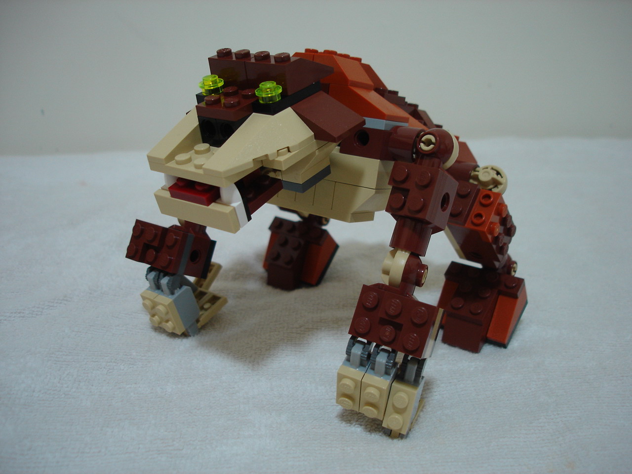 4884-257.jpg
