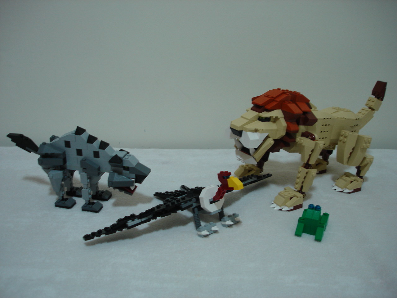 4884-260.jpg