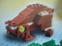 4884-135.jpg