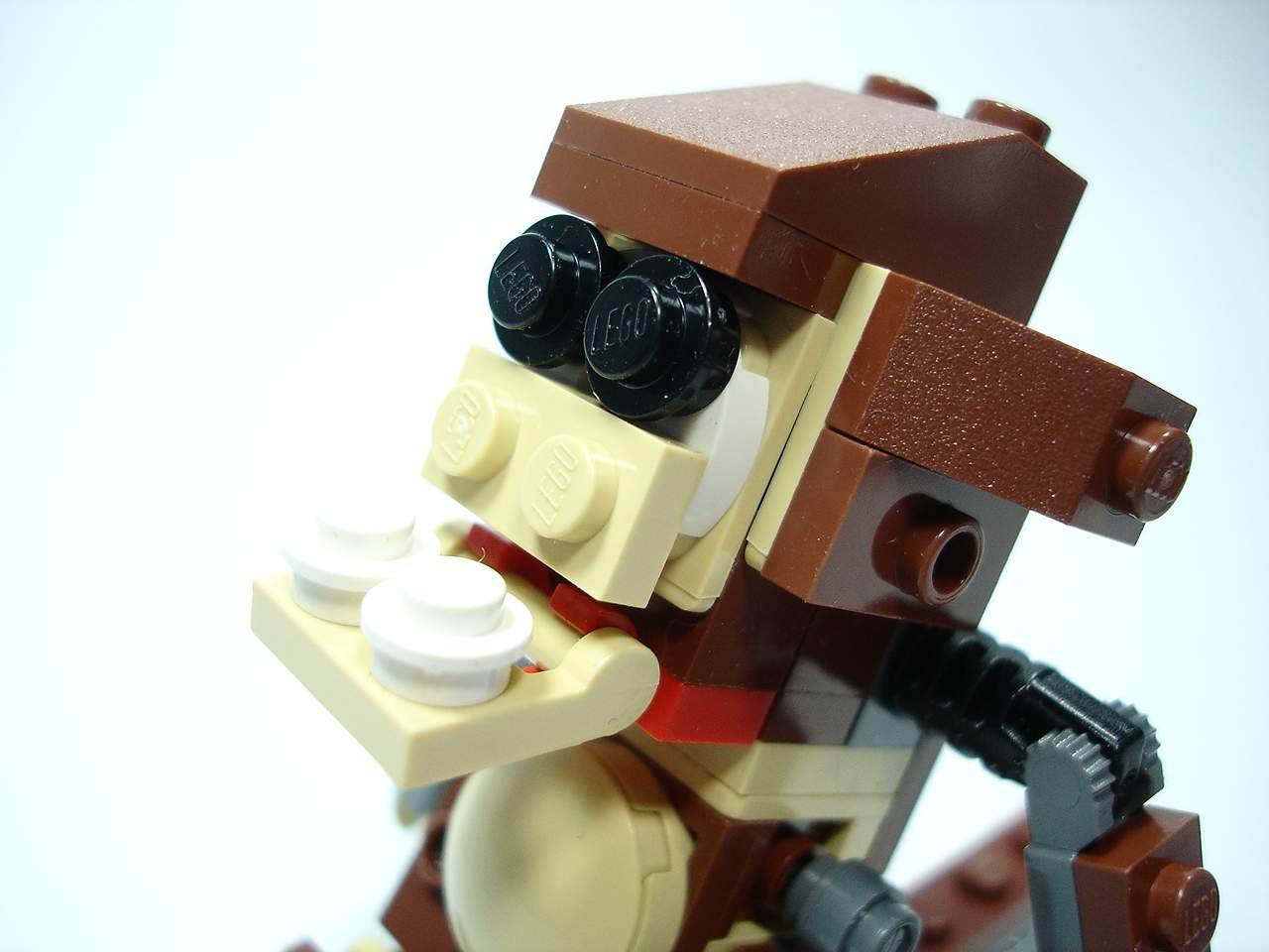 4916-056.jpg