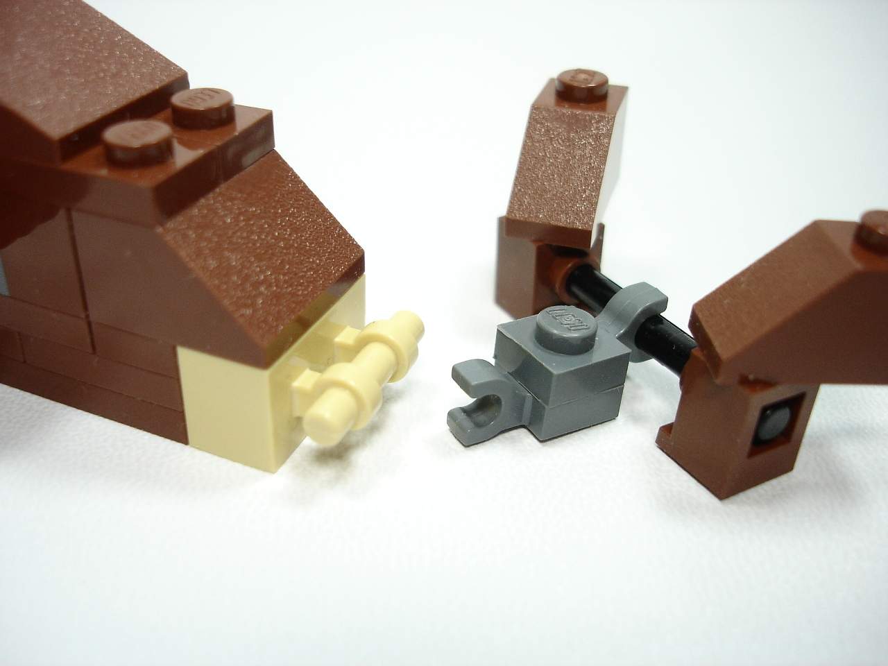 4916-067.jpg