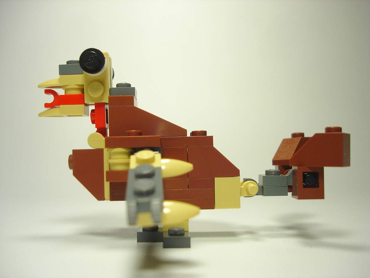 4916-077.jpg