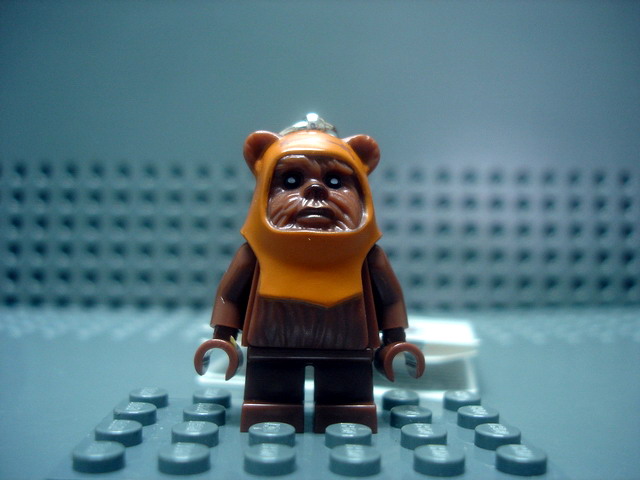 wicket-01.jpg