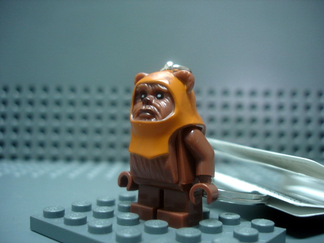 wicket-03.jpg