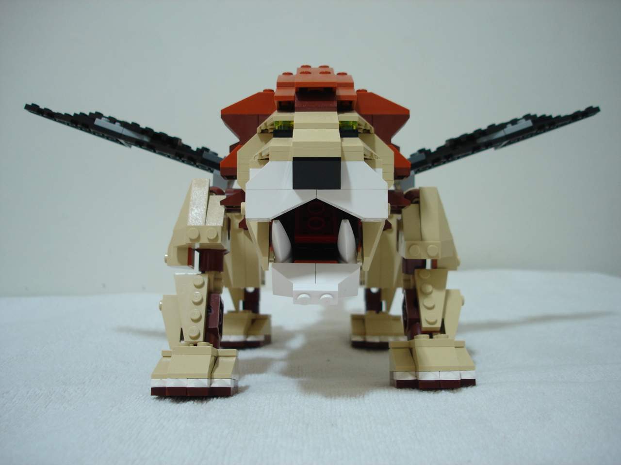 f001.jpg
