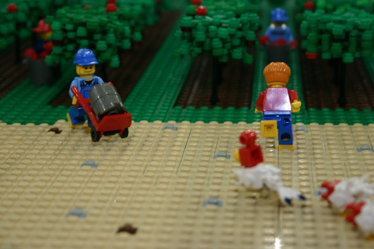 061015_lowlug_rail_039.jpg