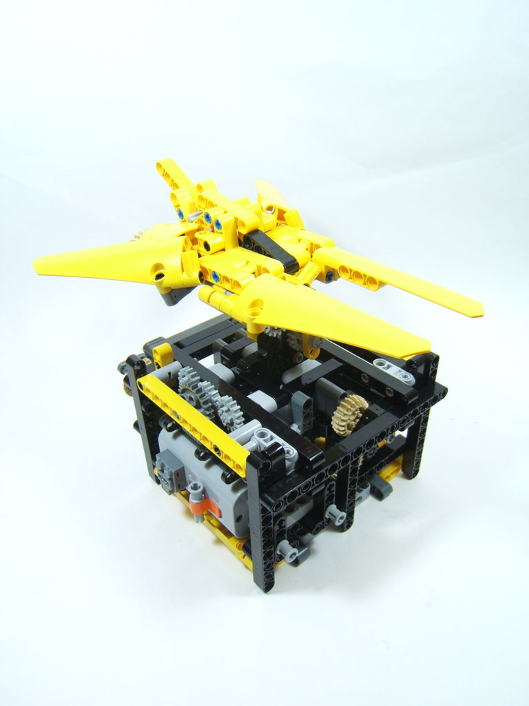 yellow_hornet_1.jpg