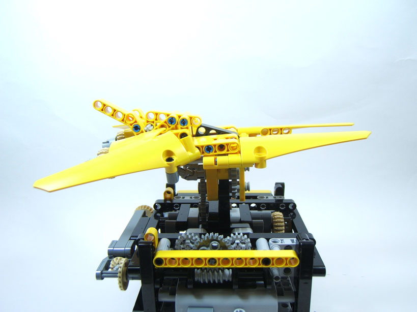yellow_hornet_2.jpg