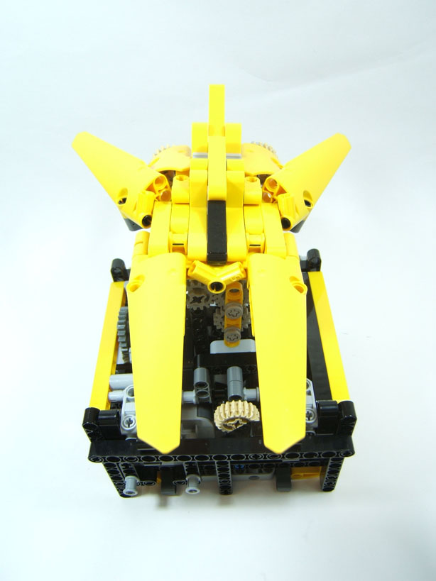 yellow_hornet_4.jpg