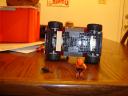 orange_sky_warthog_006.jpg