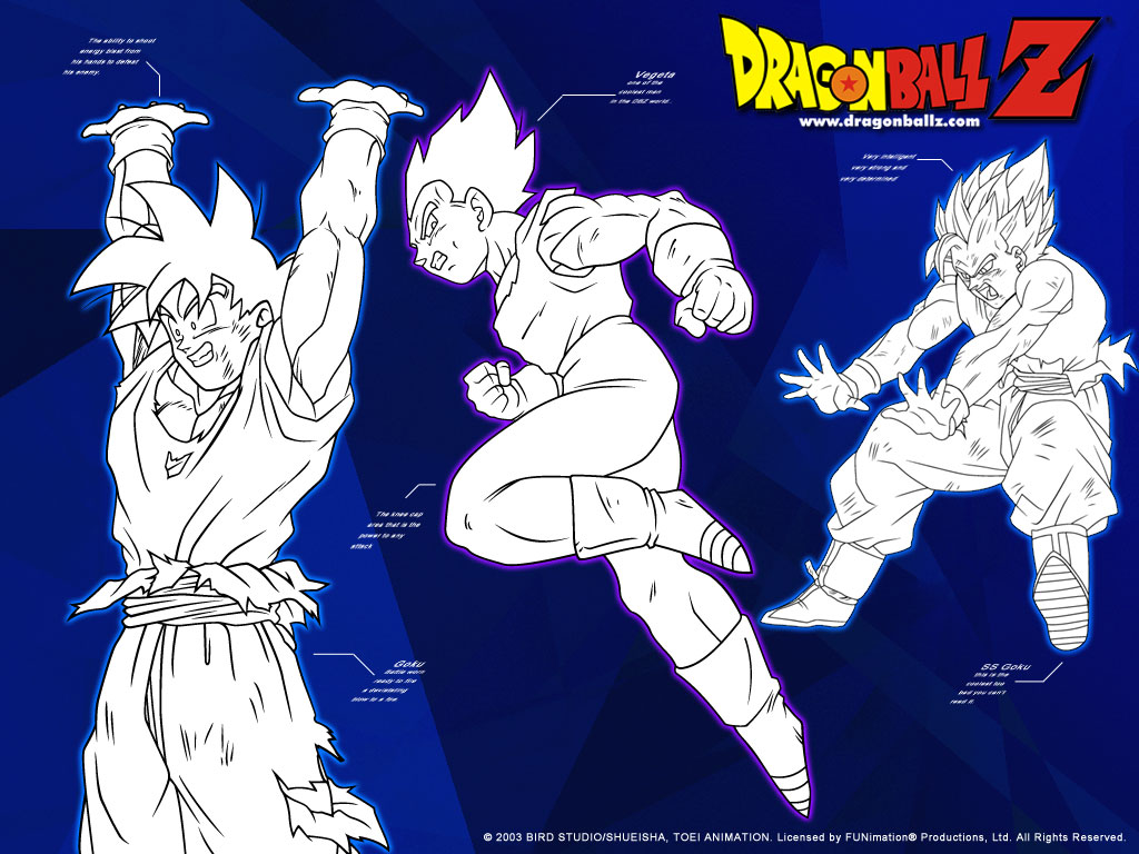 dbz_27.jpeg
