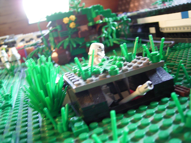 outside-4.jpg
