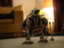 dsc00503.jpg