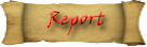 report.png