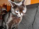 dsc01719.jpg