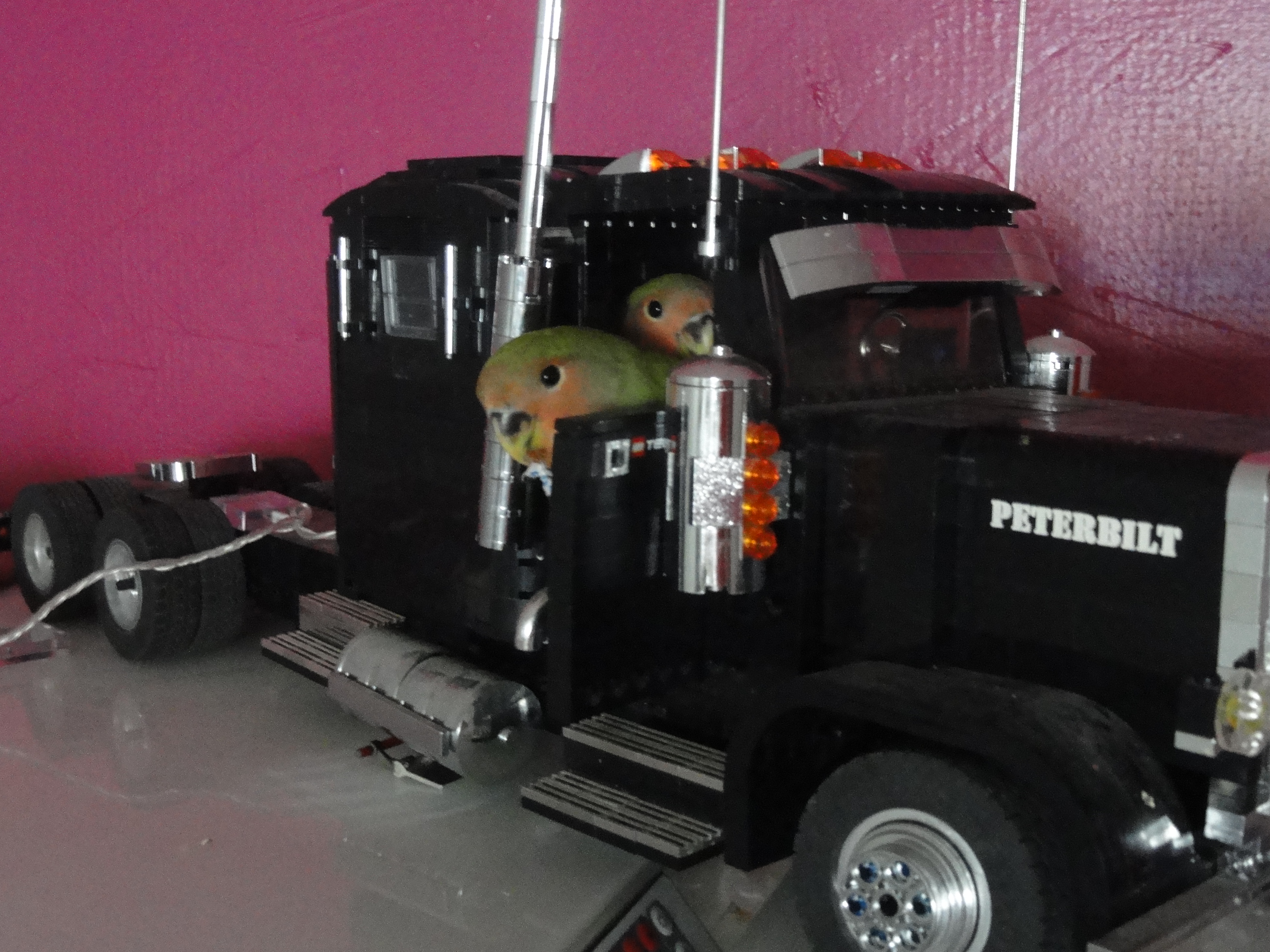 dsc099999.jpg