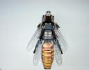 lego-wesp-002.jpg