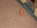 my_albums_2669_custom.jpg